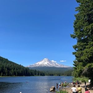 Meet your Posher, Max